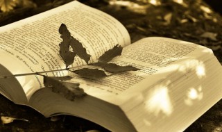 巾的组词 巾的组词二年级上册