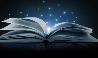 岔组词（岔组词是什么）