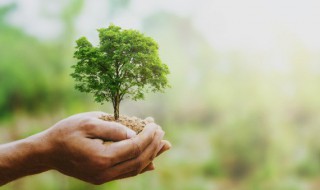 低碳环保手抄报文字内容 低碳环保手抄报文字内容100字