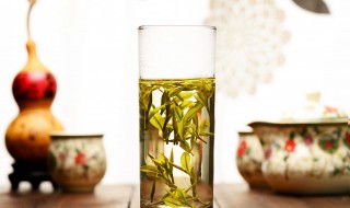 春天养生适宜喝哪些茶 春天养生适宜喝哪些茶水