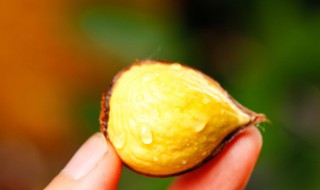 被板栗刺扎了怎么办 被板栗刺扎了怎么办小妙招