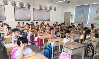 壮的组词（壮的组词有哪些）