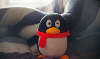 怎么申请qq邮箱 怎么申请qq邮箱免费注册