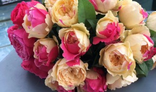 不同颜色数量的玫瑰花代表的含义 不同颜色数量的玫瑰花代表的含义是什么