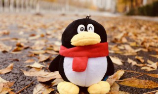 qq封号怎么快速解除（qq封号怎么快速解除2020）