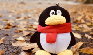 怎么把文件发到别人的qq邮箱 怎么把文件发到别人的qq邮箱发了显示不出来