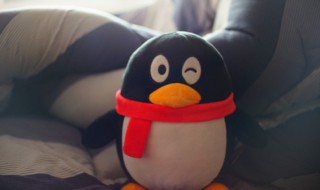 qq怎么找回删除的好友（qq怎么找回删除的好友的聊天记录）