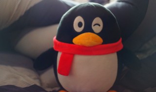 qq闪照已销毁怎么恢复（qq闪照已销毁怎么恢复安卓手机）