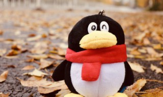 手机qq音乐怎么转化mp3 手机qq音乐如何转化mp3