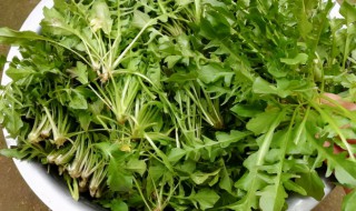 野生荠菜要焯水吗（野生荠菜需要焯水几分钟）