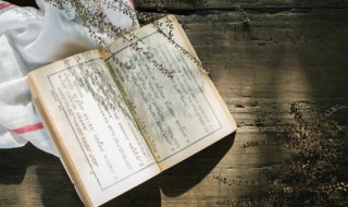 一声不吭是成语吗 一声不吭出自哪里