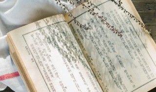 一双用英语怎么说(一双鞋用英语怎么说)