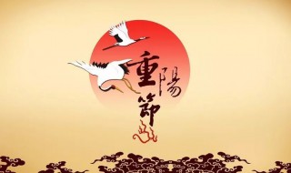 重阳节登高就是爬山吗（重阳节登高就是爬山嘛）