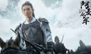 阿麦从军演员表 阿麦从军演员表图片