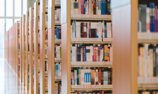 风声鹤唳草木皆兵的意思是什么 风声鹤唳草木皆兵的意思是什么意思