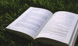 5个字古风诗意情侣名 5个字古风诗意情侣名,一看就明白