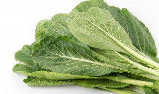 炒芥菜的做法(皮蛋炒芥菜的做法)