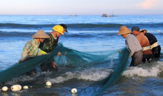 女人梦见看见别人抓鱼（女人梦见看见别人抓鱼自己却没抓到）