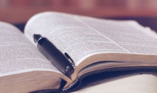 我的爱情美文(我的爱情美文 刘媛媛)