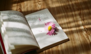 喑呜叱咤的意思 喑呜叱咤的意思是什么