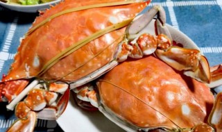 螃蟹的正确品尝方式（螃蟹品尝时间）