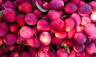 海棠果品种怎么区分（海棠果品种怎么区分等级）