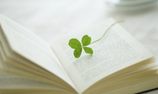 垂暮之年什么意思 垂暮之年什么意思啊