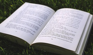 仙风道骨的网名大全(仙风道骨的网名大全男)