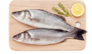 薄荷蒸鲈鱼的做法 薄荷蒸鲈鱼的做法大全