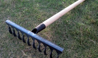 钉钯的意思是什么 钉钯怎么念