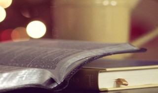 绳的组词（绳的组词有哪些）