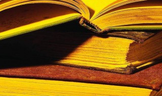 裙的组词（裙的组词是什么）