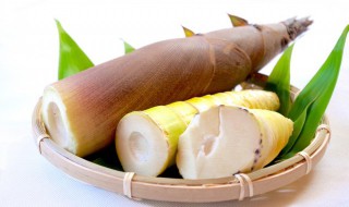 竹笋储存方法（竹笋储存方法有哪些）