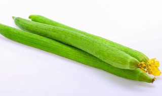 醋溜丝瓜的做法(醋溜丝瓜的做法窍门)