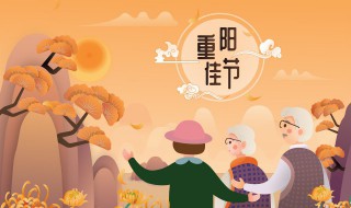 重阳节诗句经典古诗（重阳节诗句经典古诗小学）