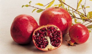 石榴英语怎么说（石榴英语怎么说读发音）