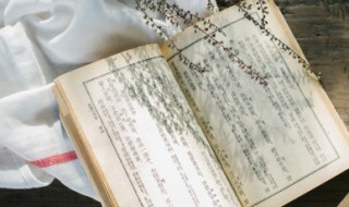 怀念父亲的重阳节诗句 怀念父亲的重阳节诗句五言绝句