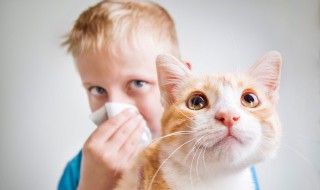 30种动物的名称及特征 十种动物的特征