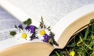 很甜很撩的游戏昵称两个字 很甜很撩的游戏昵称两个字男