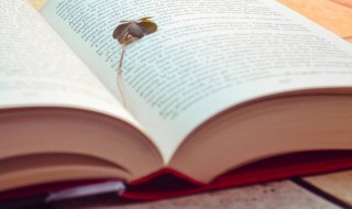 渣男专用昵称大全（渣男专用昵称大全古风）