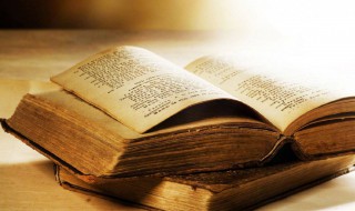 吃鸡里适合菜鸟的名字(吃鸡里适合菜鸟的名字女生)