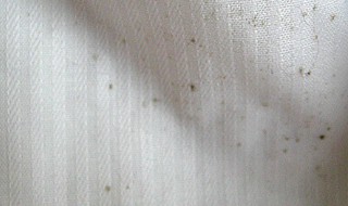 白衣服有霉点怎么洗掉 白衣服有霉点怎么洗掉小窍门