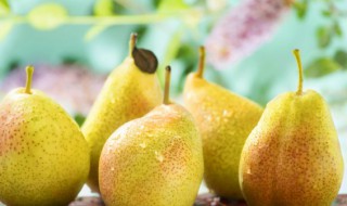 蜂蜜梨水怎么熬可以治咳嗽（冰糖蜂蜜梨水怎么熬可以治咳嗽）