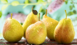 砀山梨怎么读 砀山梨