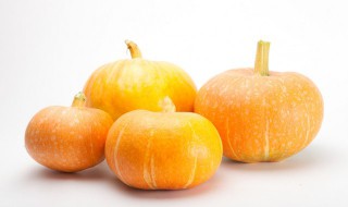 南瓜英语怎么读（南瓜英语怎么读语）