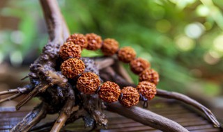 黄花梨手串怎么玩 黄花梨手串怎么玩呢越玩越亮