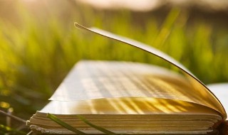 争怎么组词 争怎么组词三年级下册