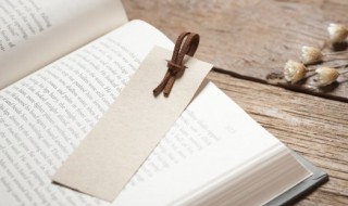 报的组词（及的组词）