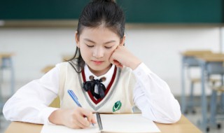 猫的组词 猫的组词和拼音