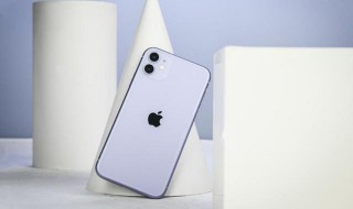 苹果怎么注册新的id（苹果怎么注册新的id可以用手机号注册吗）